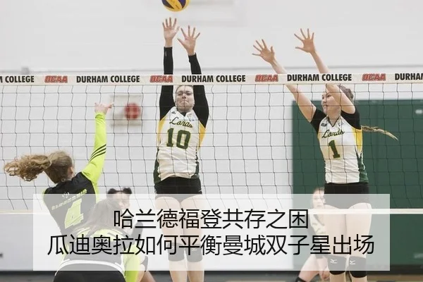 ha-lan-de-fu-deng-gong-cun-zhi-kun-gua-di-ao-la-ru-he-ping-heng-man-cheng-shuang-zi-xing-chu-chang-2-158.jpg