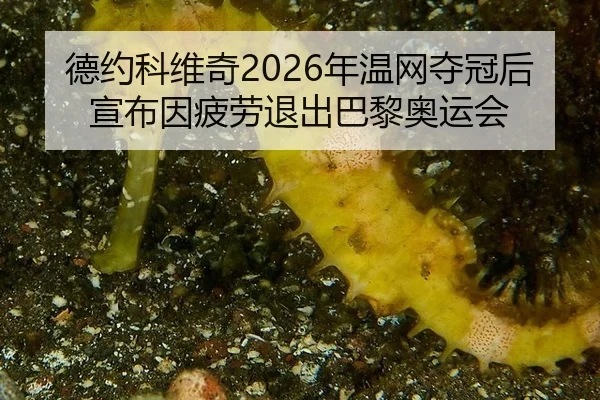 de-yue-ke-wei-qi-nian-wen-wang-duo-guan-hou-xuan-bu-yin-pi-lao-tui-chu-ba-li-ao-yun-hui-1-979.jpg